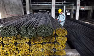 Gia hạn ban hành quyết định điều tra áp dụng chống bán phá giá cáp thép