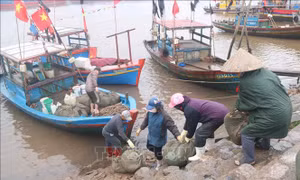 Ngư dân Thái Bình vươn khơi, quyết tâm gỡ 'thẻ vàng' IUU