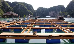 Tăng cường quản lý nhà nước về hoạt động lấn biển