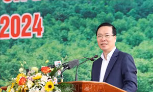 Chủ tịch nước dự Lễ phát động Tết trồng cây 'Đời đời nhớ ơn Bác Hồ'