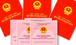 Cấp 7 sổ đỏ lấn chiếm đất trại giam: UBND tỉnh Lâm Đồng chỉ đạo làm rõ trách nhiệm