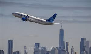 United Airlines cam kết sẽ cập nhật các quy trình và đào tạo an toàn cho nhân viên