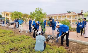 Thực hiện chương trình 'Triệu cây xanh - Vì một Việt Nam xanh' tại Hải Dương