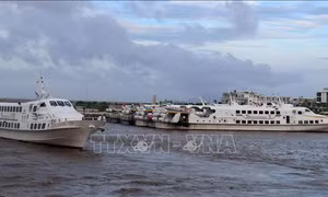 Một số tuyến trình trên biển ở Kiên Giang tạm ngừng hoạt động do thời tiết xấu
