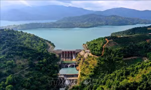Lâm Đồng: Các công trình thủy điện ứng phó tình huống khẩn cấp với mưa lũ
