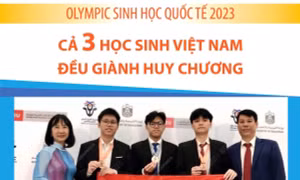 Olympic Sinh học quốc tế 2023: Cả 3 học sinh Việt Nam đều giành huy chương