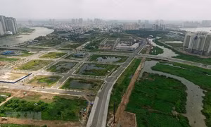 Kiều bào phấn khởi tham dự Hội nghị lấy ý kiến đối với dự thảo Luật Đất đai (sửa đổi)