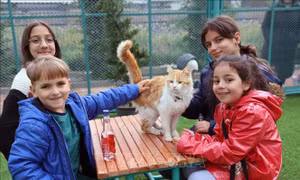Ghé thăm 'thị trấn mèo' ở Thổ Nhĩ Kỳ