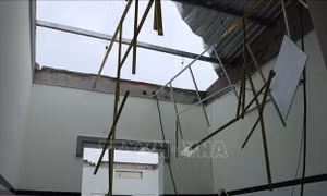 Hỗ trợ kịp thời các hộ dân bị ảnh hưởng bởi lốc xoáy ở Bà Rịa - Vũng Tàu