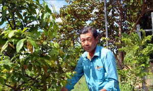 Sáng ngời tấm gương thương binh tàn nhưng không phế