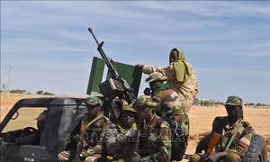 Niger kiểm soát tình hình sau vụ binh biến tại thủ đô Niamey