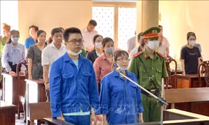 Xét xử vụ 'Tham ô tài sản' xảy ra tại một ngân hàng ở An Giang