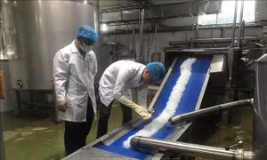 Sáng kiến làm lợi cho doanh nghiệp cả tỷ đồng mỗi năm