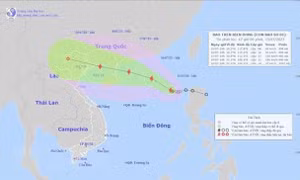 Trung Quốc kích hoạt ứng phó khẩn cấp với bão Talim