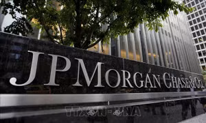 CEO một công ty khởi nghiệp Mỹ bị cáo buộc lừa đảo JPMorgan Chase