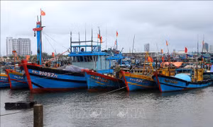 Từ Quảng Ninh đến Kiên Giang chủ động ứng phó với gió mạnh trên biển
