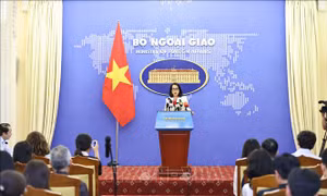 Yêu cầu Trung Quốc chấm dứt khảo sát trái phép trong vùng biển của Việt Nam
