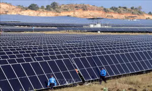 Tìm cách gỡ vướng việc dừng huy động hơn 172 MW điện mặt trời của Trung Nam