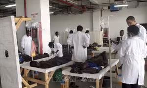 WHO triển khai chiến dịch xét nghiệm bệnh tả quy mô lớn trên toàn cầu