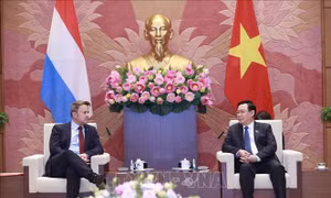 Chủ tịch Quốc hội Vương Đình Huệ hội kiến Thủ tướng Đại Công quốc Luxembourg