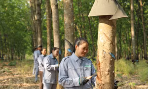 THACO AGRI hướng tới mô hình phát triển nông nghiệp bền vững 