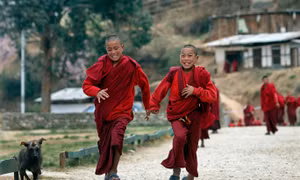 Hương thơm mở ra cánh cửa an lạc 