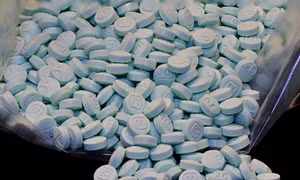 Lý do Canada trở thành mắt xích quan trọng trong đường dây tuồn fentanyl vào Mỹ
