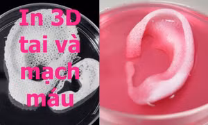 Khám phá phòng thí nghiệm in 3D bộ phận cơ thể người