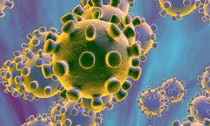 Hiểu về dịch virus Corona Vũ Hán qua tam giác dịch tễ học