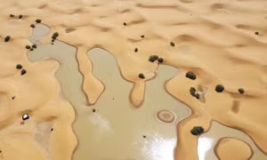 Hình ảnh kinh ngạc Sa mạc Sahara ngập lụt