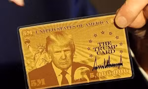 Bước chuyển về sứ mệnh của Ban Hiệu quả chính phủ Mỹ nhìn từ việc đưa ra 'Visa Vàng'