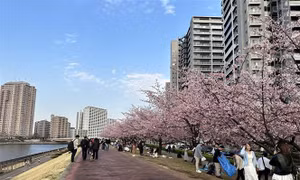 Nhật Bản 'sốt' cuộc đua giành vị trí thủ đô dự phòng cho Tokyo