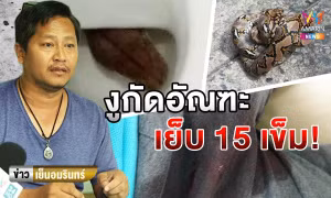 Trăn khổng lồ núp trong toilet, cắt đứt 'của quý' người đàn ông