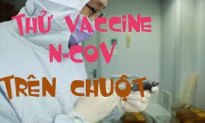 Trung Quốc bắt đầu thử vaccine phòng nCoV trên chuột