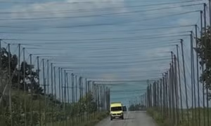 Ukraine dùng lưới đánh cá 'bắt sống' UAV Nga