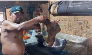 Ngành kinh doanh thịt chó của Indonesia bùng nổ bất chấp nhiều tranh cãi