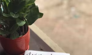 Được học - cuốn sách giàu tính nhân văn