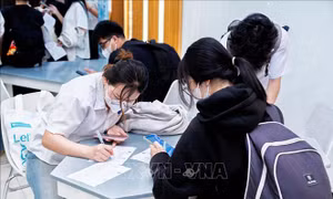 TP Hồ Chí Minh kết nối thực tập, việc làm cho hàng ngàn sinh viên