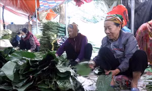 Hành trình 'xuất ngoại' của lá dong Hồng Châu