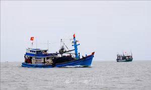 Khắc phục 'thẻ vàng' IUU: Kỳ vọng từ ứng dụng số hóa trong quản lý tàu cá
