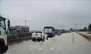 Khu vực Bắc Bộ và từ Thanh Hóa đến Hà Tĩnh chủ động ứng phó mưa lớn