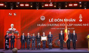 Đóng góp hiệu quả vào sự nghiệp hoàn thiện thể chế, pháp luật