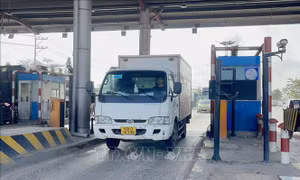 Đồng Nai đề xuất tháo dỡ 3 trạm thu phí trên các tuyến quốc lộ