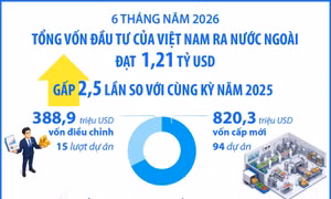 Sáu tháng năm 2026: Đầu tư của Việt Nam ra nước ngoài đạt 1,21 tỷ USD