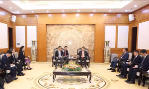 Việt - Lào phối hợp chặt chẽ, chia sẻ kinh nghiệm trong công tác đối ngoại