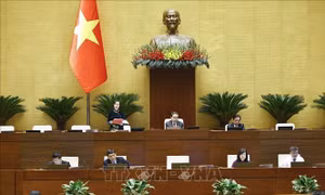 Phê chuẩn một số Phó Chủ tịch và Ủy viên Hội đồng bầu cử quốc gia