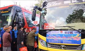 Ấm lòng những chuyến xe yêu thương đưa bệnh nhân về quê đón Tết