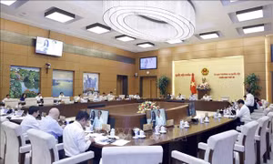 Thúc đẩy thị trường điện cạnh tranh minh bạch, công bằng