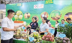 Thái Nguyên: Đẩy mạnh kết nối tiêu thụ na La Hiên và nông sản chủ lực