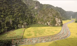 Mục tiêu đến năm 2030, du lịch thực sự trở thành ngành kinh tế mũi nhọn